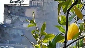 Sentiero dei Limoni - 10 Maggio 2026